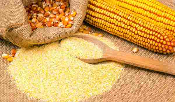 ما هو دقيق الذرة؟